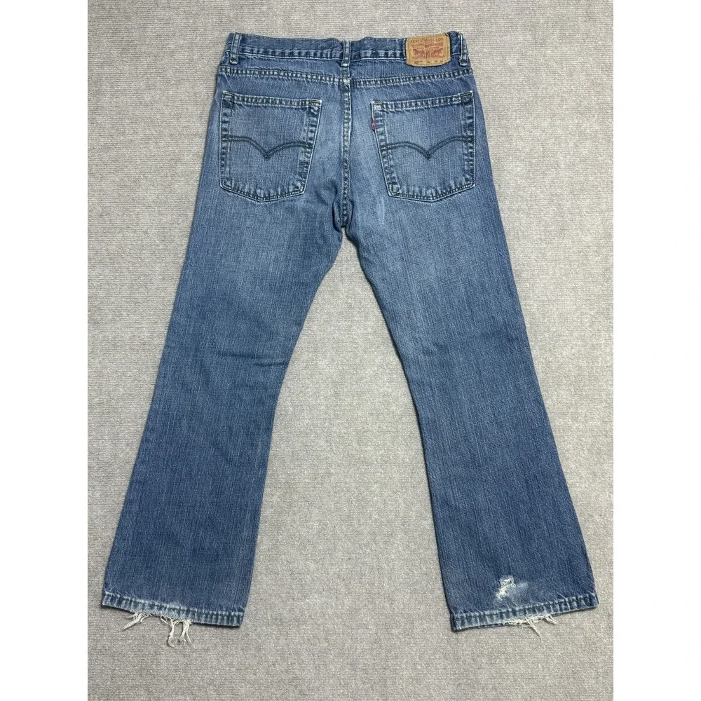 Levis levis 527